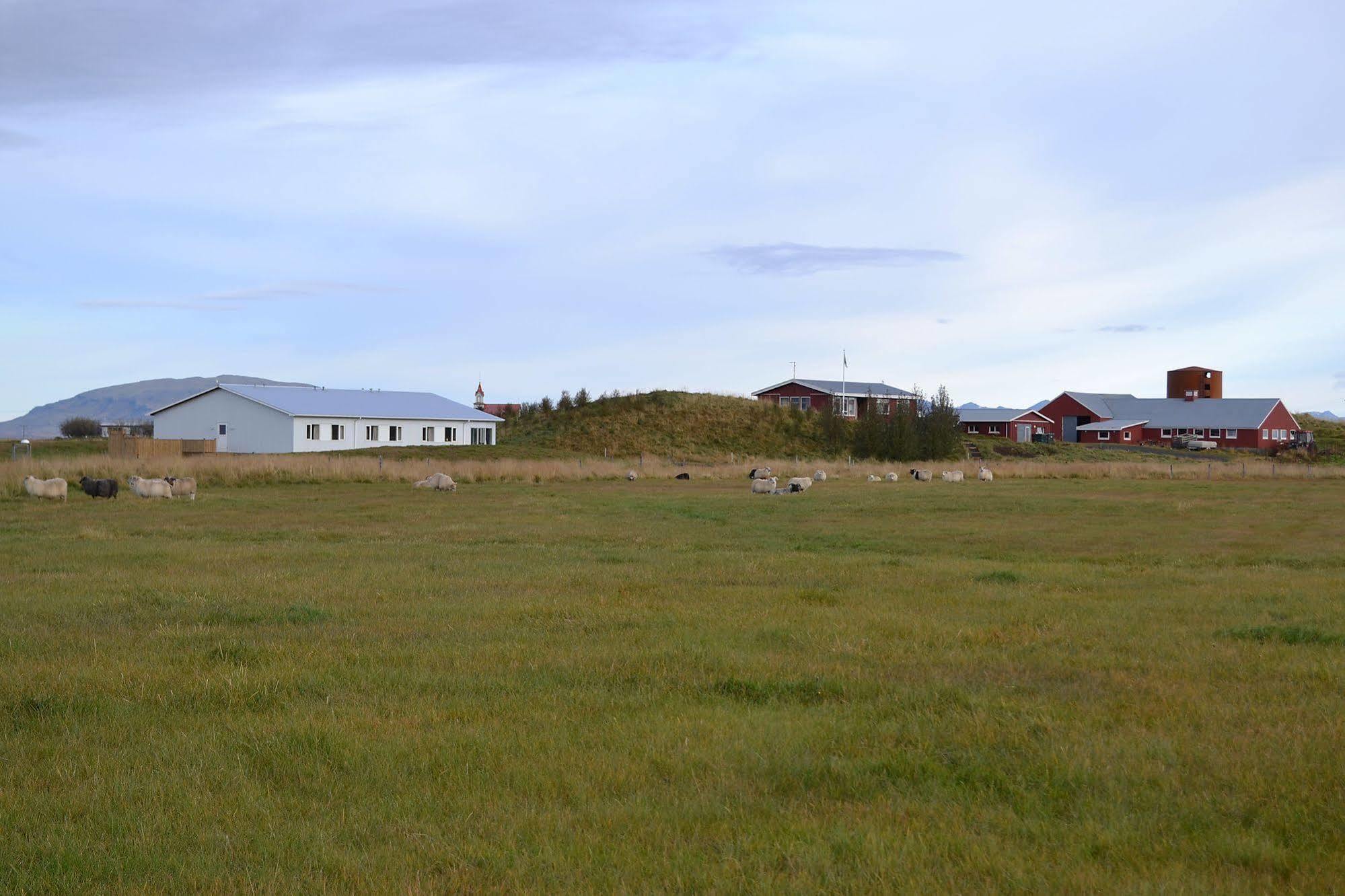 Lambastadir Guesthouse Selfoss Luaran gambar
