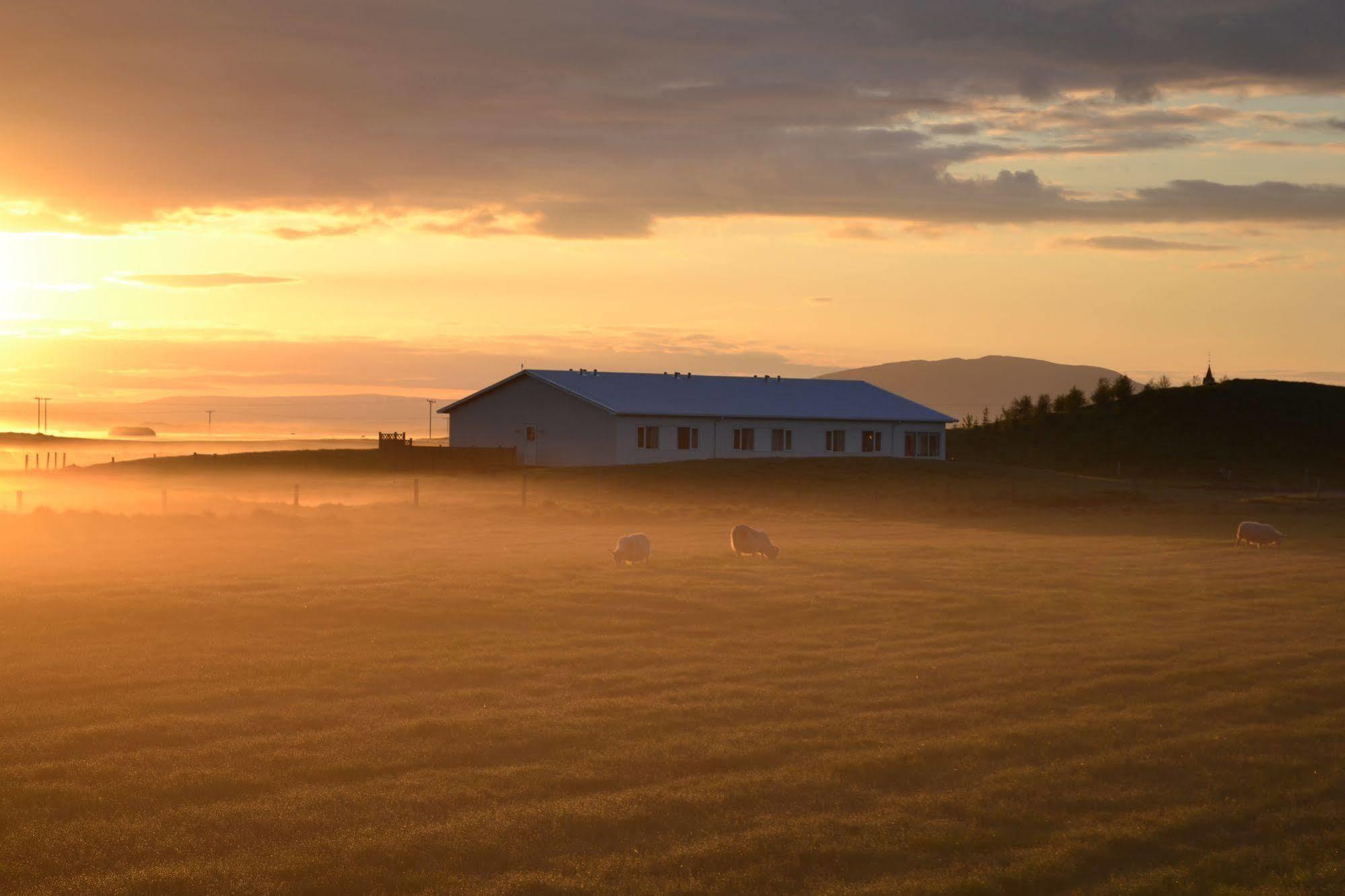 Lambastadir Guesthouse Selfoss Luaran gambar