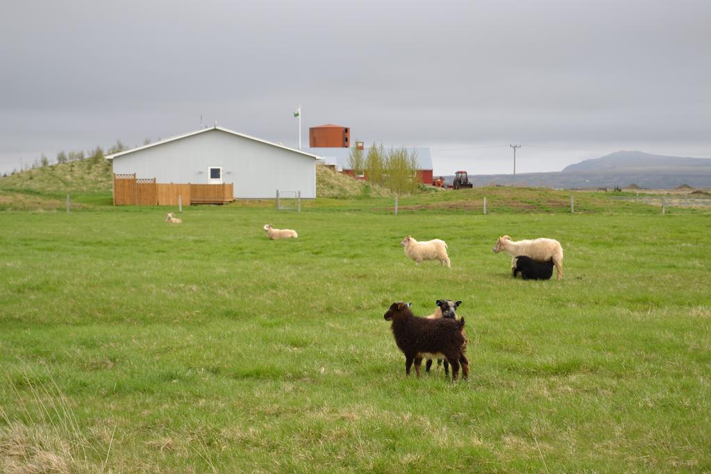 Lambastadir Guesthouse Selfoss Luaran gambar